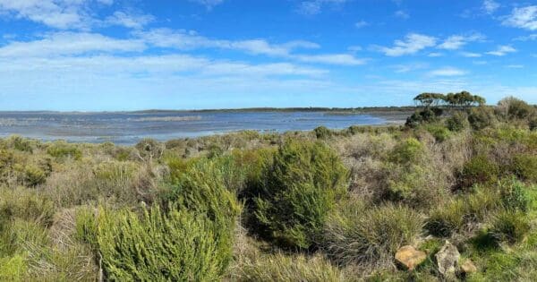 Bald Hill Hike Bald hill hike