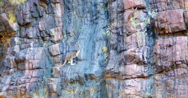 Bararranna Gorge Walk Bararranna gorge walk