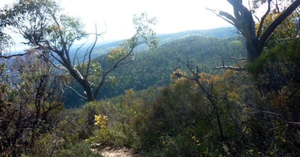 Black hill summit circuit hike