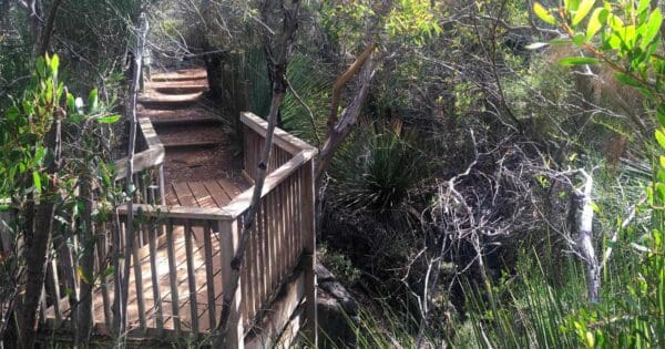 Burgess & May Circuit Walk Burgess & may circuit walk