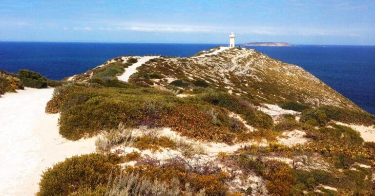 Cape Spencer Lighthouse Walk Cape spencer lighthouse walk