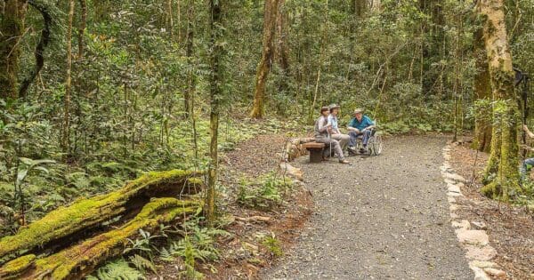 Centenary Track Centenary track