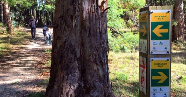 Chookarloo Circuit Chookarloo circuit