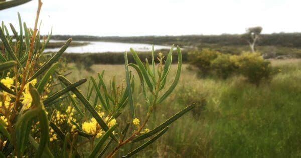 Curley Creek Hike Curley creek hike