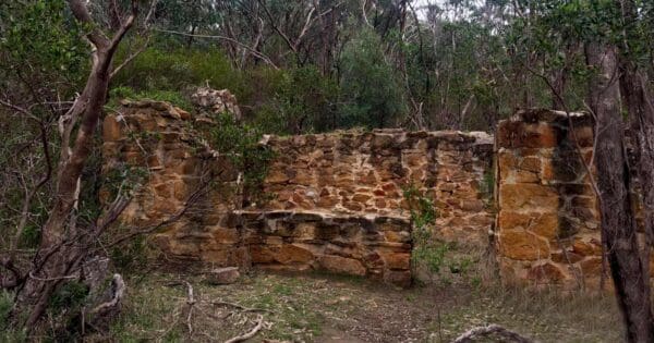 Echidna Circuit Echidna circuit