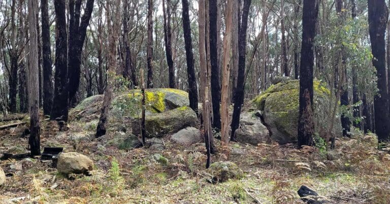 Falls creek warragul rocks loop