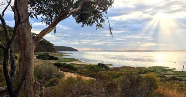 Fish cannery walking trail