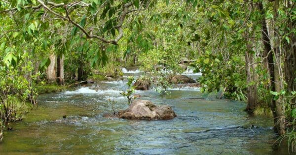 Florence Creek Walk Florence creek walk