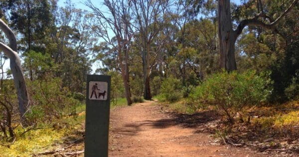 Fourth Creek Walk Fourth creek walk