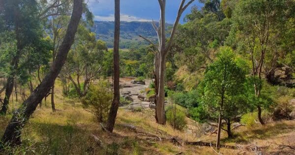 Gawarn baring walking track