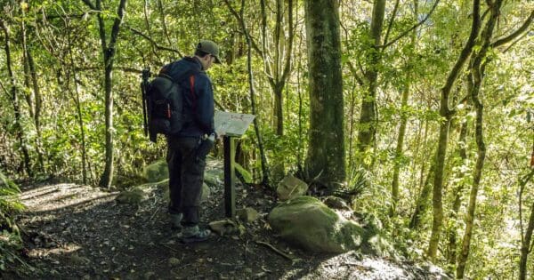 Green mountains rainforest walk