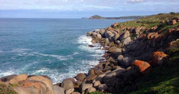 Kaiki Circuit Kaiki circuit