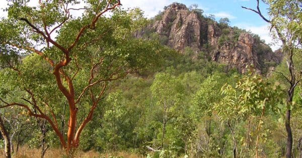 Kurrundie Creek Walk Kurrundie creek walk