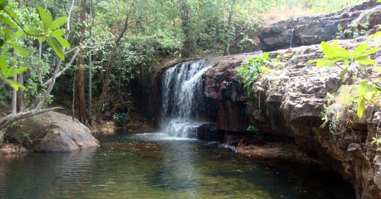 Litchfield lower cascades walk