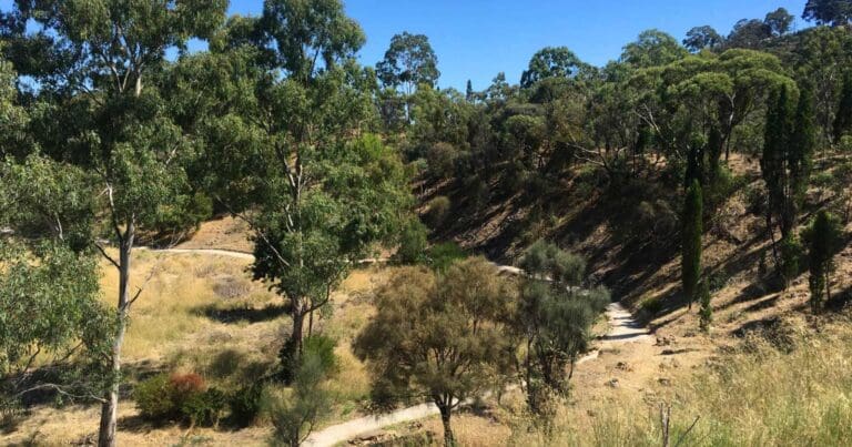 Little quarry circuit