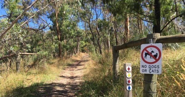 Lobethal bushland blue trail