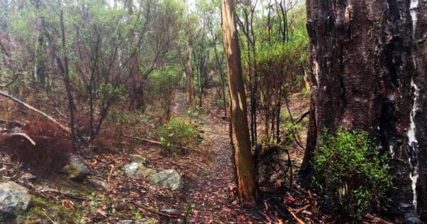 Mack Creek Hike Mack creek hike