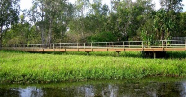 Mardugal Billabong walk Mardugal billabong walk