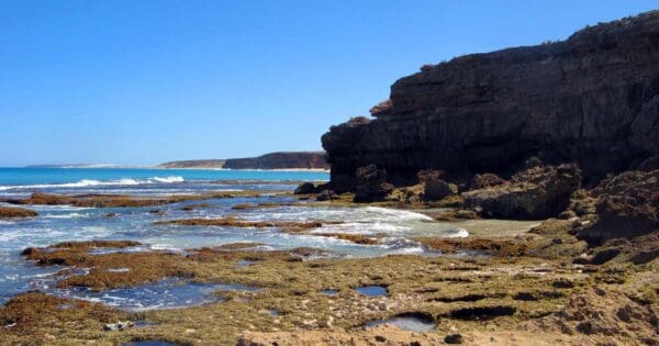 Belair Waterfall Circuit Hike (6.5km) Marion bay to gleesons landing 600x315