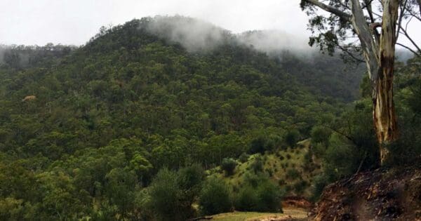 Montacute conservation circuit