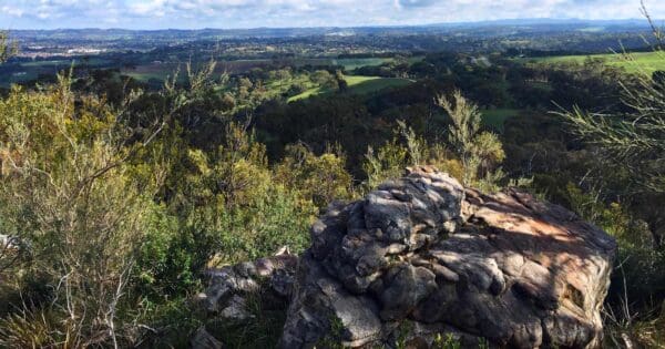 Mount barker summit circuit walk