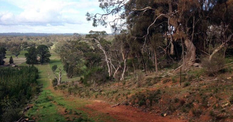 Mount crawford circuit hike