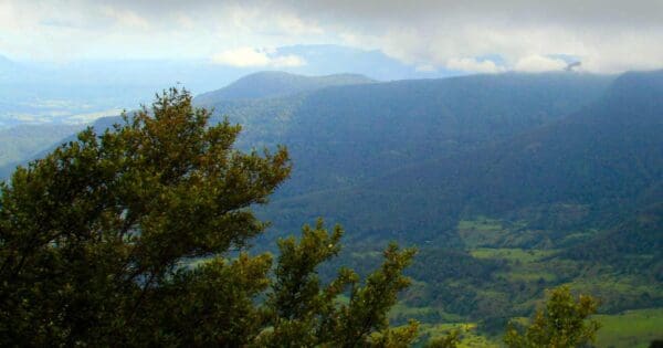 Mount Hobwee Circuit Hike Mount hobwee circuit hike