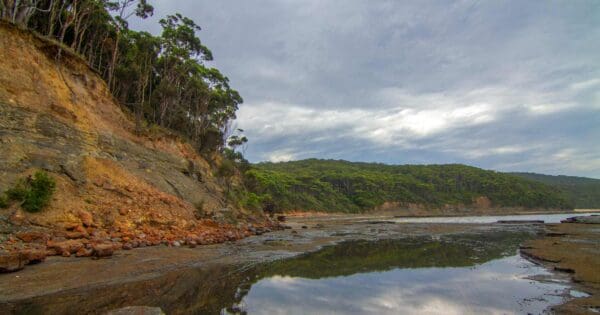 Murramarang south coast walk
