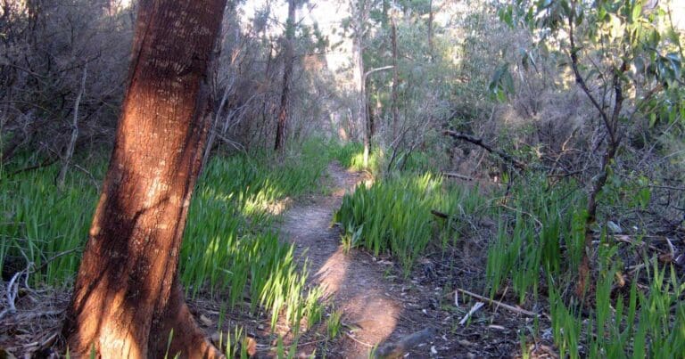 Mylor to aldgate hike