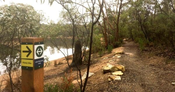 Para Wirra Lake Discovery Walk Para wirra lake discovery walk