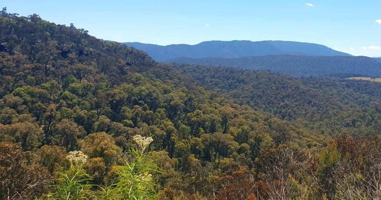 Paradise falls to mcmillan's lookout