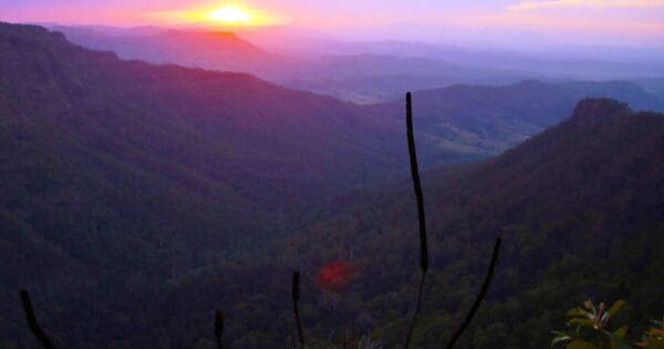 Python Rock Walk Python rock walk