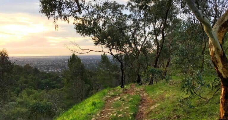 Randell park reserve walk
