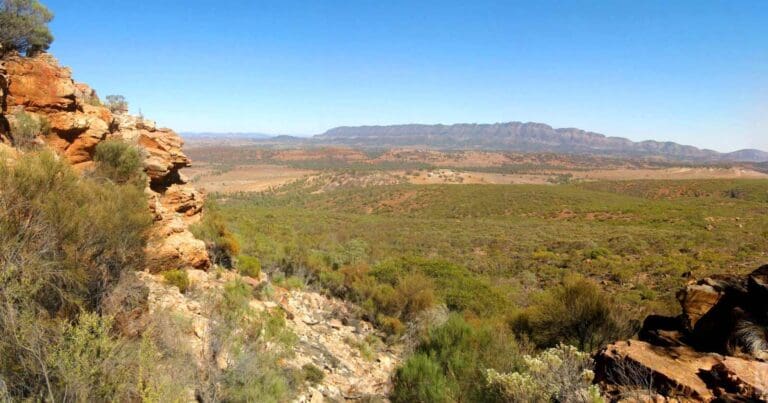 Rawnsley bluff and wilpena pound
