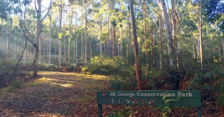 Ridge Trail, Mount George Conservation Park Ridge trail, mount george conservation park