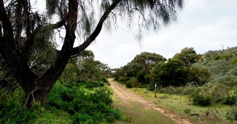 Ridgeway hill circuit hike