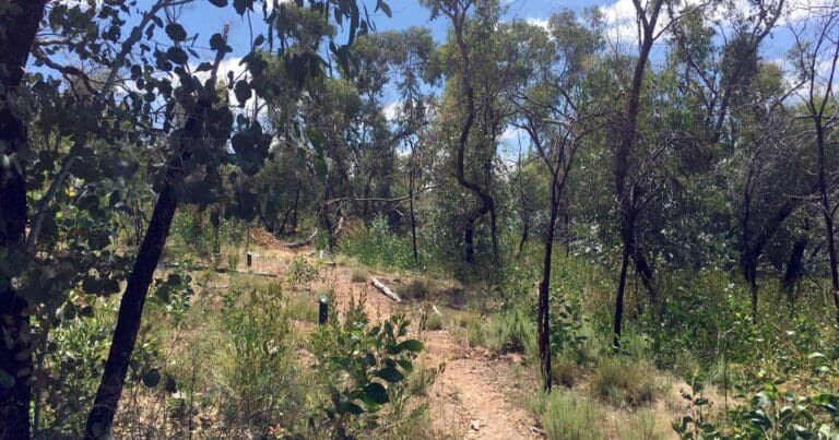 Roachdale nature trail