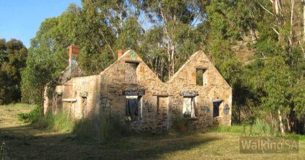 Scott creek eastern circuit