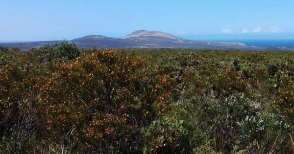 Sepulcralis hill lookout walk