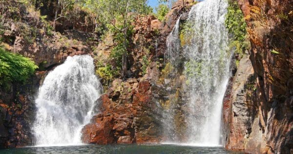 Shady Creek and Florence Falls Walk Shady creek and florence falls walk