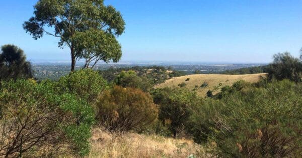 Silver Mine Circuit Silver mine circuit