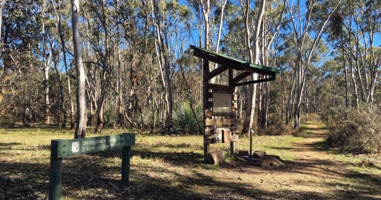 Stringybark circuit