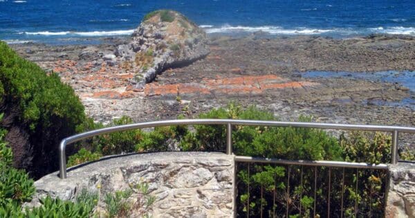 Tadpole cove circuit