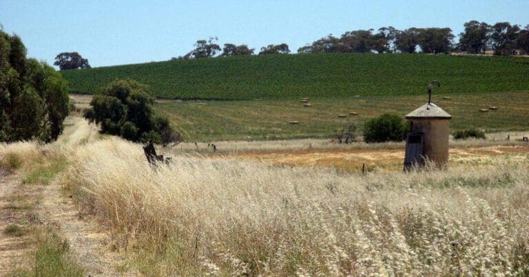 The rattler trail walk