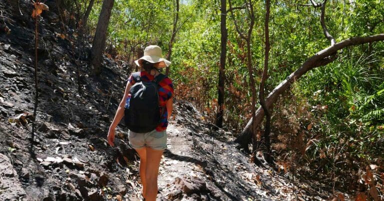 Tjaynera sandy creek walk 768x403