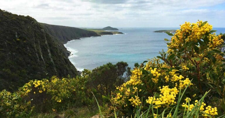Waitpinga cliffs to kings beach