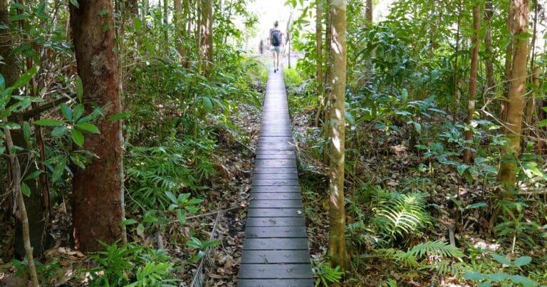 Walker Creek Walk Walker creek walk