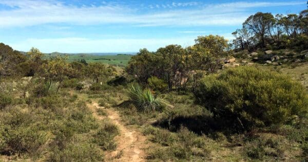 Wallowa Hike Kaiserstuhl Wallowa hike kaiserstuhl