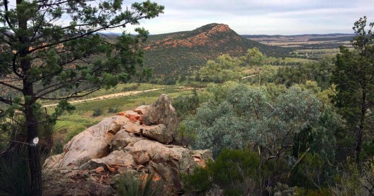 Warren gorge circuit walk
