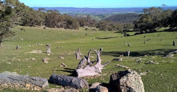 Warren Tower Circuit Warren tower circuit